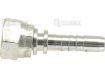 Picture of Dicsa BSP 60ï¿½ Hose Insert 3/8
x 1/2'' Female-SP-53038