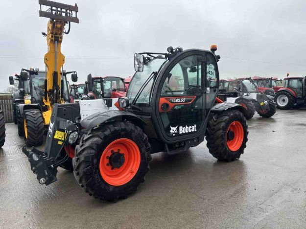 Picture of Bobcat TL30.60