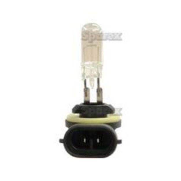 Picture of LLB886 HEAD LIGHT BULB 12V 55W
RIGHT ANGLE-SP-109993