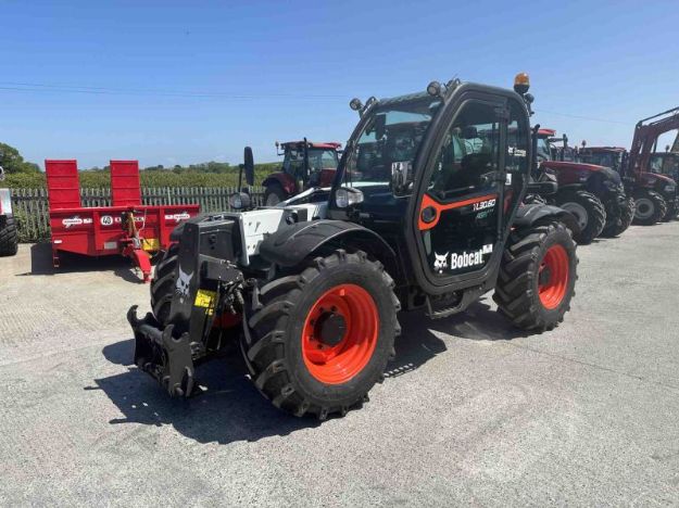 Picture of Bobcat TL30.60