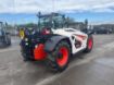 Picture of Bobcat TL30.60